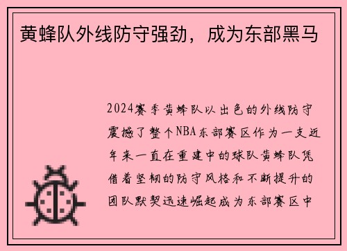 黄蜂队外线防守强劲，成为东部黑马